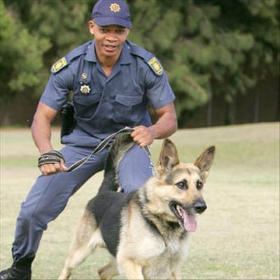 Busy weekend for Plett crime fighters