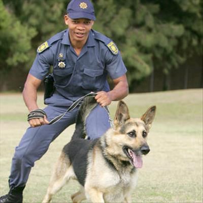 Busy weekend for Plett crime fighters