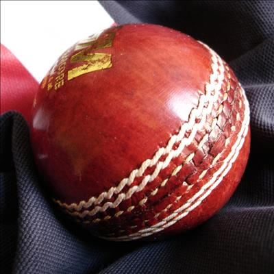 Groot kykplesier by Sportfees