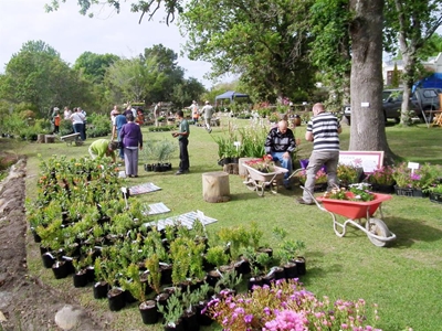 Botanical Garden: 77 new members in two weeks