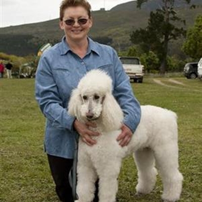 Doggie show-offs!