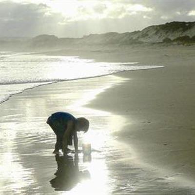 Blue Flag for Wilderness Beach