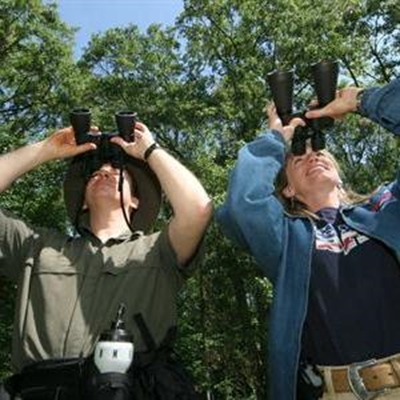 Bird identification course