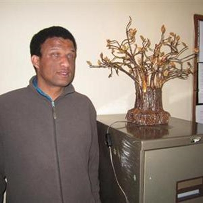 'Tree of Light' through to finals