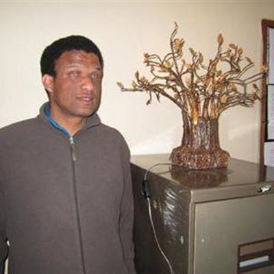 'Tree of Light' through to finals