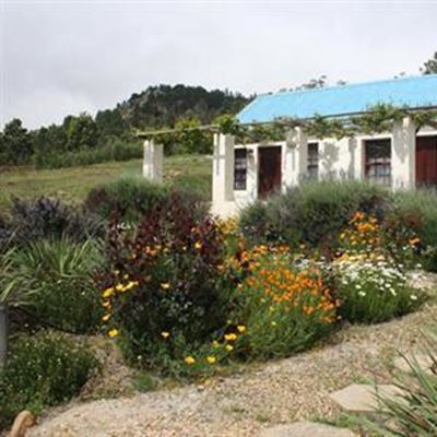 Treasures of the Little Karoo unlocked