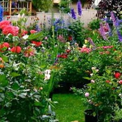 Take a walk in these gardens