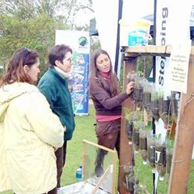 Learn to build a vertical garden