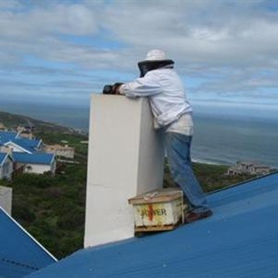 Opvolg: Bye 'n kopseer in Mosselbaai