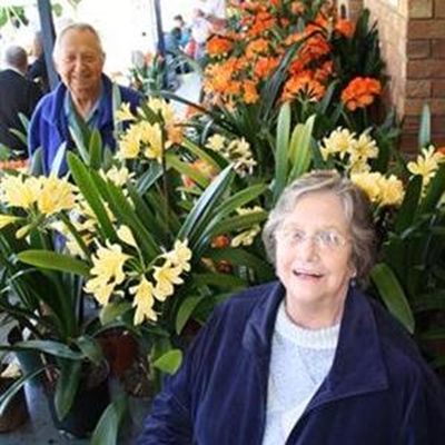 Record entries provide spectacular clivia show