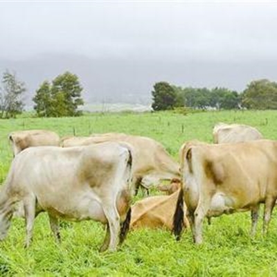 Wes-Kaapse navorsers is tops
