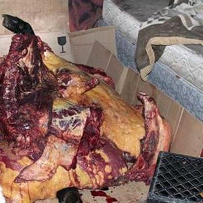 Prime Angus cow stolen, butchered