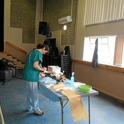 CARS-kliniek verloop seepglad