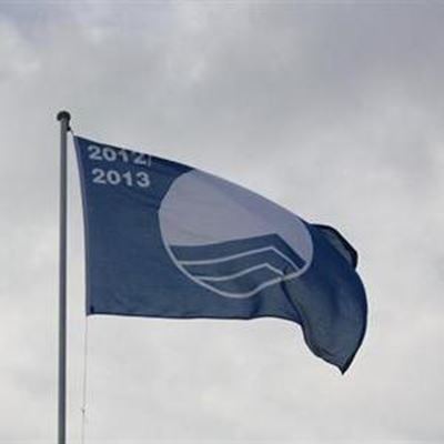 Geen eer oor blouvlag-status
