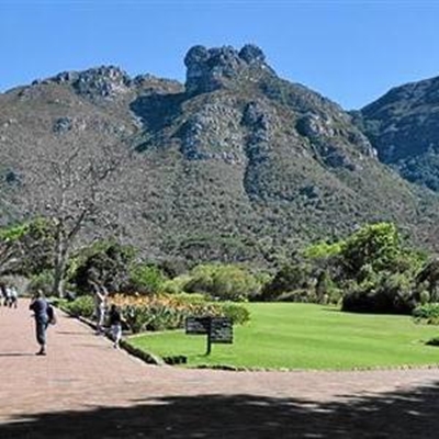 2013 is Kirstenbosch's Centenary Year