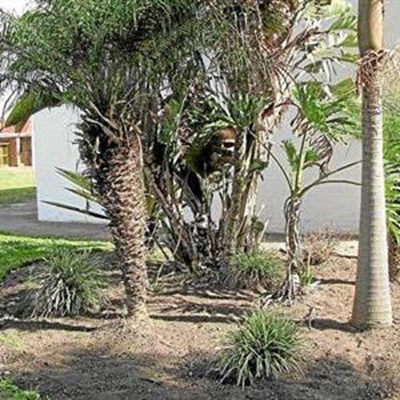 Tuinbouklub gaan groen