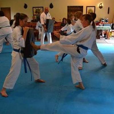 Blue and brown belt karate testing in style