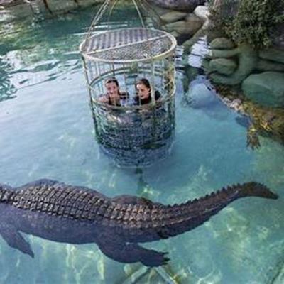 Unique experiences await on the wild side