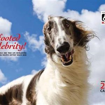 Four (and three) footed celebrities at large
