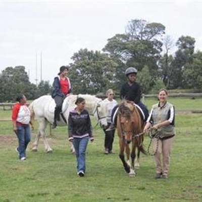 Special connection between horse & child