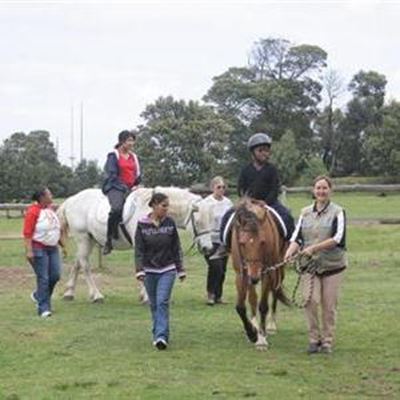 Special connection between horse & child
