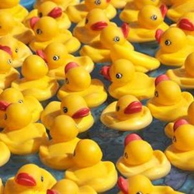 A splash of ducks, dragons and fun