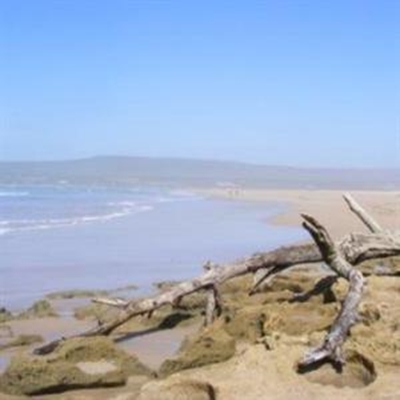 Opvolg: Witsand strand geskuif