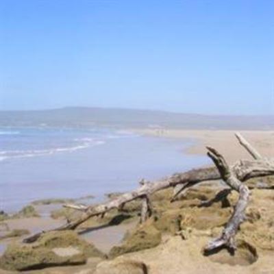 Opvolg: Witsand strand geskuif