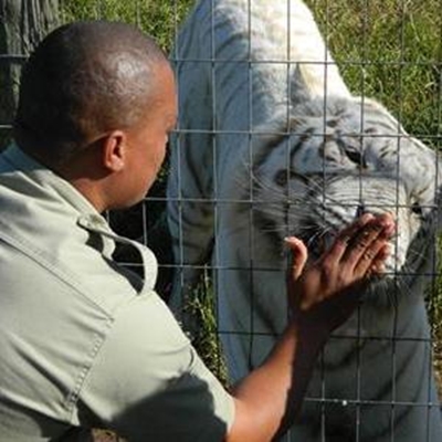 Jukani’s favourites turn four