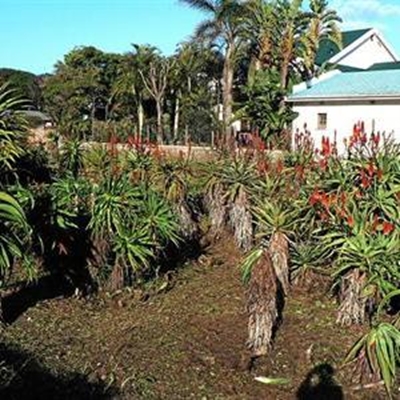 Wilderness station aloes can breathe again