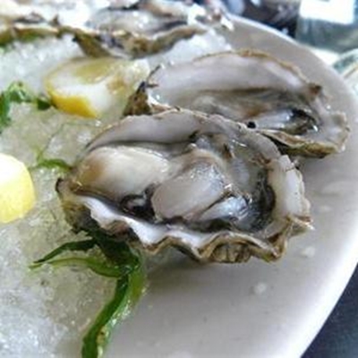 Every effort to ensure healthy Oyster Fest