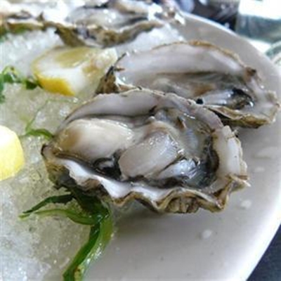 Oyster fest growing bigger and better