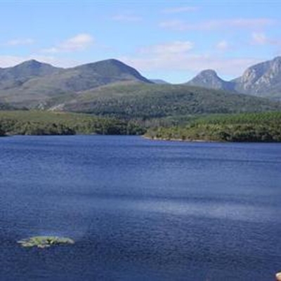 Species diversity at GR dam under scrutiny