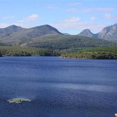 Species diversity at GR dam under scrutiny