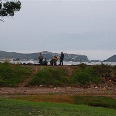 Squatters' shelters & belongings removed