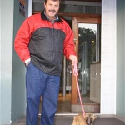 Opvolg: Oudtshoorn-dierewelsynbied hoop