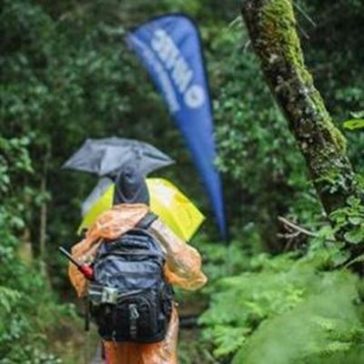 Long hike in wet forest