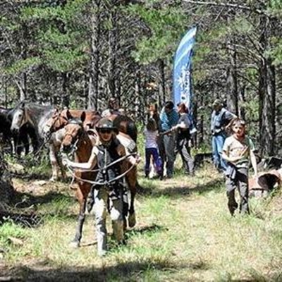 Hessequa hou Kuns- en Natuurfees