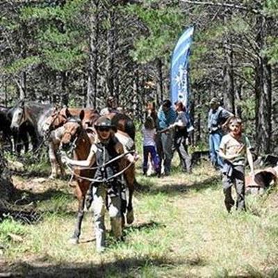 Hessequa hou Kuns- en Natuurfees