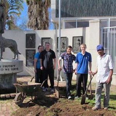 Oudtshoorn se dromers aan woeker