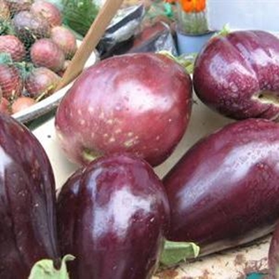 Markdag in Pacaltsdorp