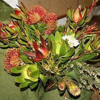 Blommeskou vanjaar in Oktober