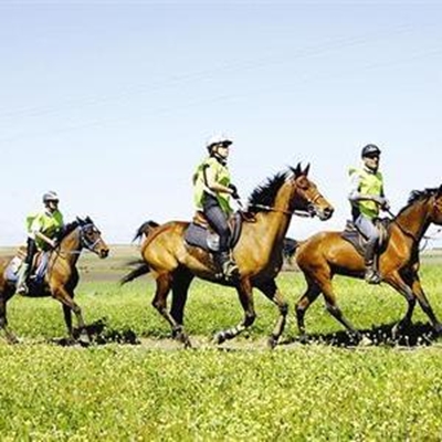 Perdehoewe klap die naweek in Klein-Karoo