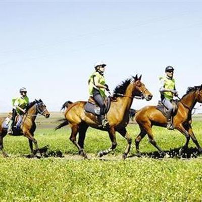 Perdehoewe klap die naweek in Klein-Karoo