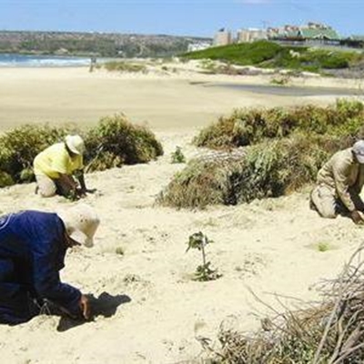 Local projects nominated for awards