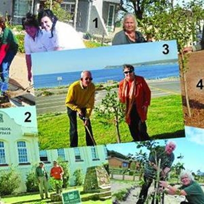 Pam Golding Agents plant trees