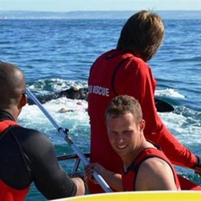 NSRI red walvis