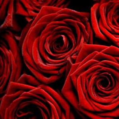 Mossel Bay Flower Show celebrates spring