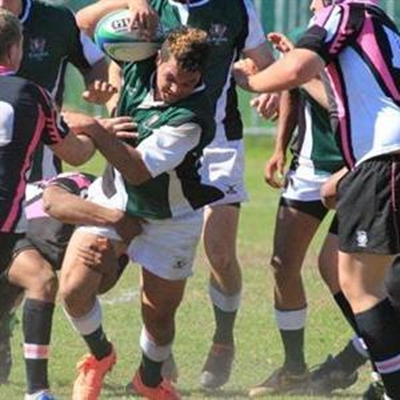 Nuwe hoogtes vir Jong Arende