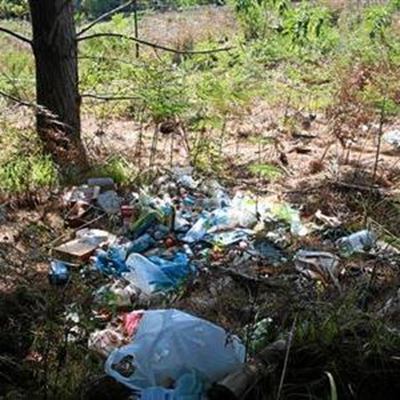 Homeless seek shelter in Plantation Road
